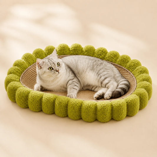 BiscuitNest 2-in-1 Cat Scratcher & Lounge Bed