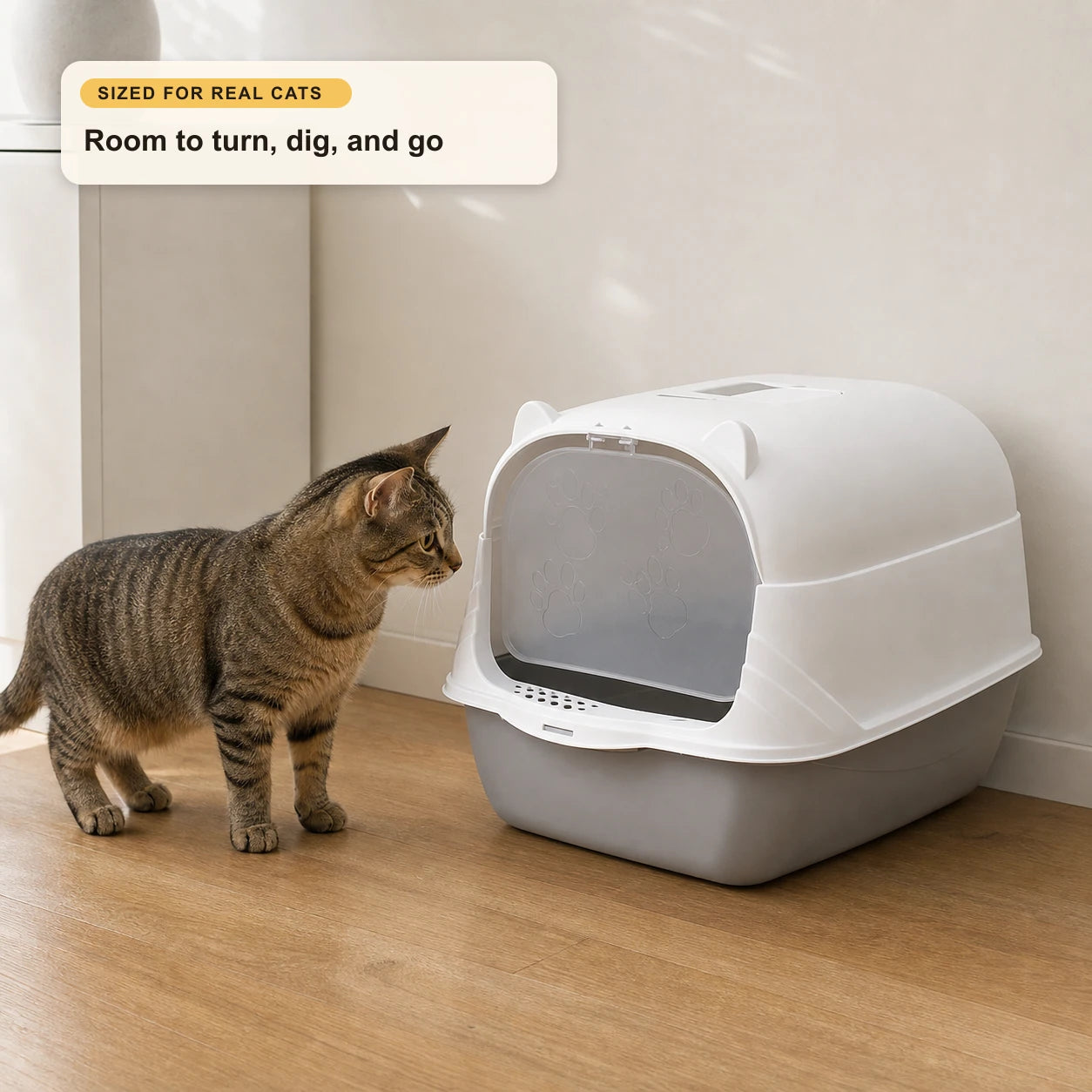 Tabby cat beside the FurrVenience enclosed cat litter box with removable white hood and grey base, showing scale for small-to-medium cats.