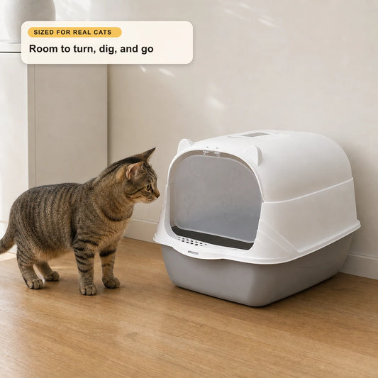 Tabby cat beside the FurrVenience enclosed cat litter box with removable white hood and grey base, showing scale for small-to-medium cats.