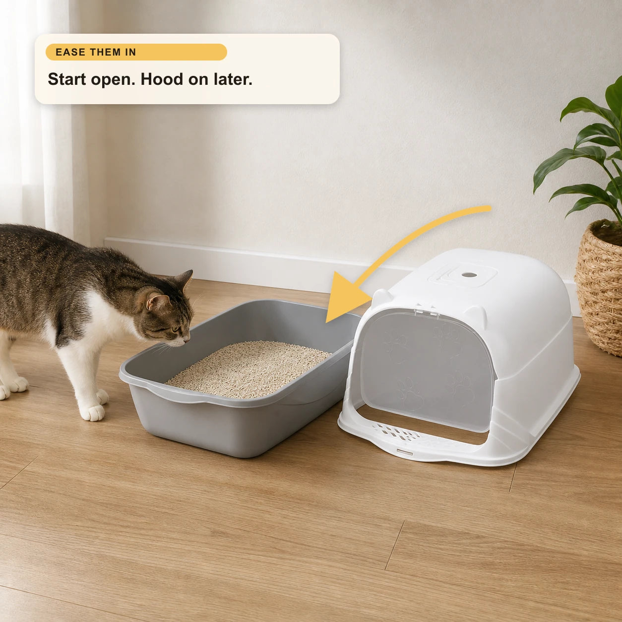 Cat investigating the grey litter tray beside its removable white hood, showing open use before converting to an enclosed litter box.