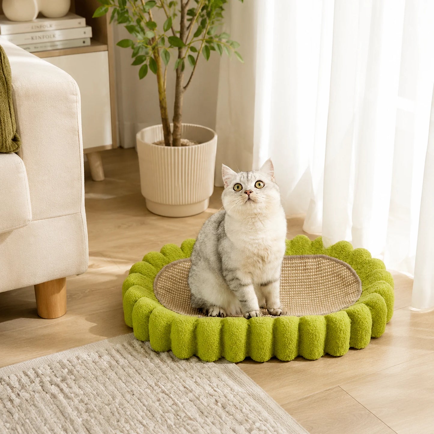 BiscuitNest 2-in-1 Cat Scratcher & Lounge Bed