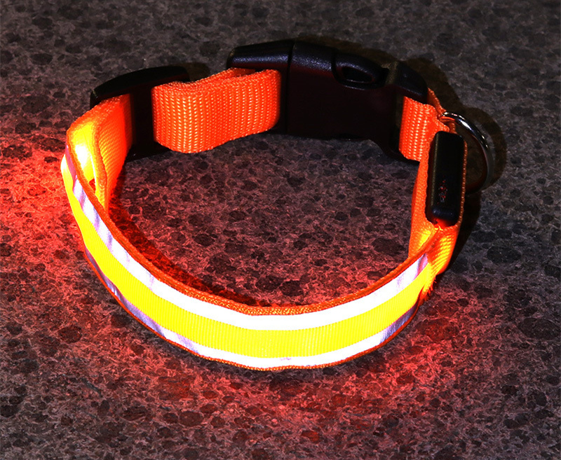 Rechargeable LED Safety Collar – Be Seen on Every Dark Walk