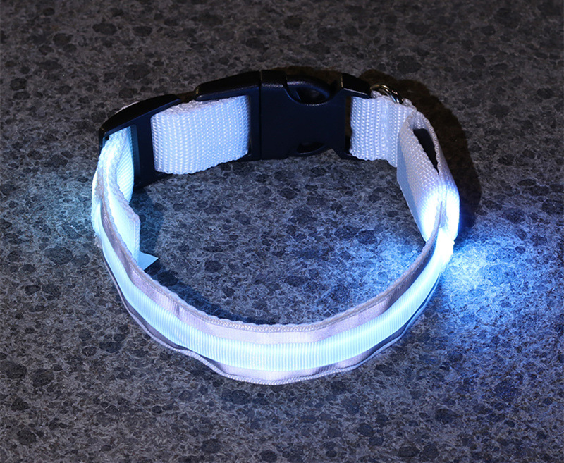 Rechargeable LED Safety Collar – Be Seen on Every Dark Walk