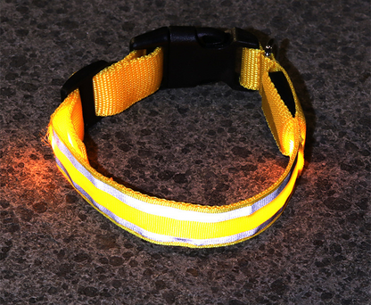 Rechargeable LED Safety Collar – Be Seen on Every Dark Walk