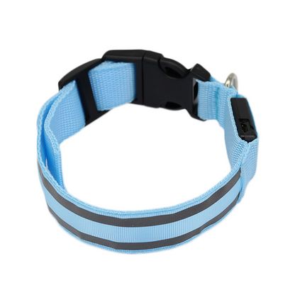 Rechargeable LED Safety Collar – Be Seen on Every Dark Walk