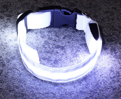 Rechargeable LED Safety Collar – Be Seen on Every Dark Walk