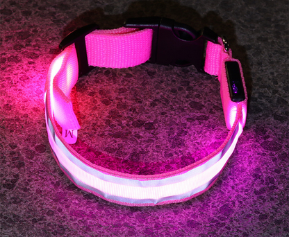 Rechargeable LED Safety Collar – Be Seen on Every Dark Walk