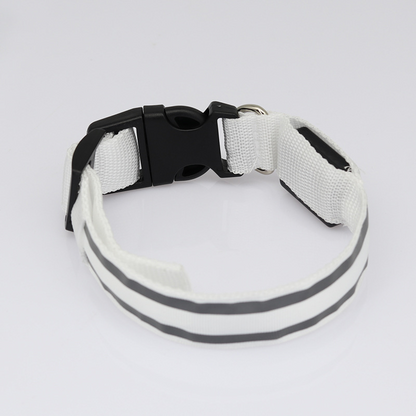 Rechargeable LED Safety Collar – Be Seen on Every Dark Walk