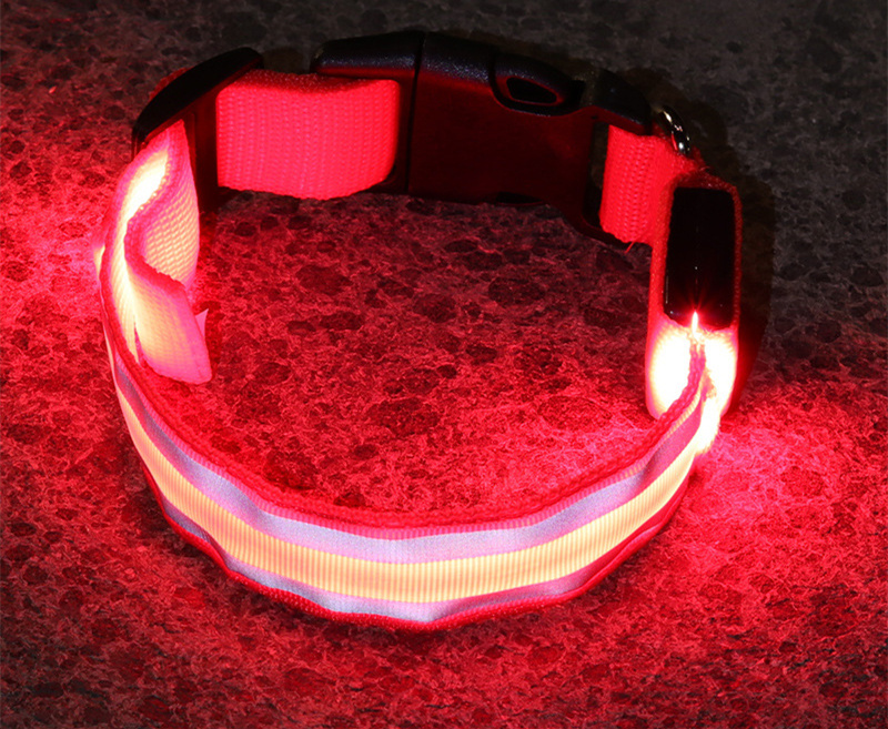 Rechargeable LED Safety Collar – Be Seen on Every Dark Walk