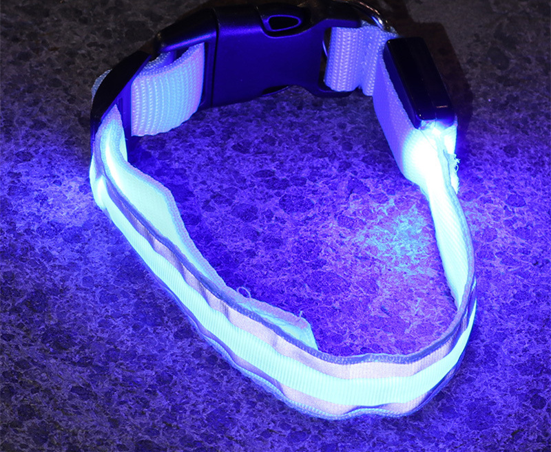 Rechargeable LED Safety Collar – Be Seen on Every Dark Walk