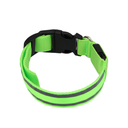 Rechargeable LED Safety Collar – Be Seen on Every Dark Walk