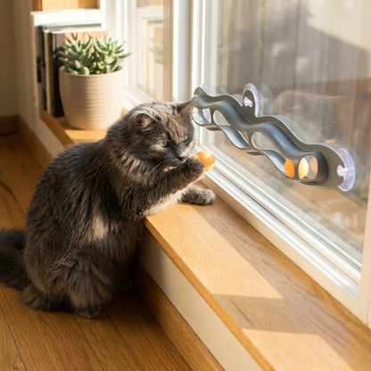 Cat playing with a grey windowsill track ball toy